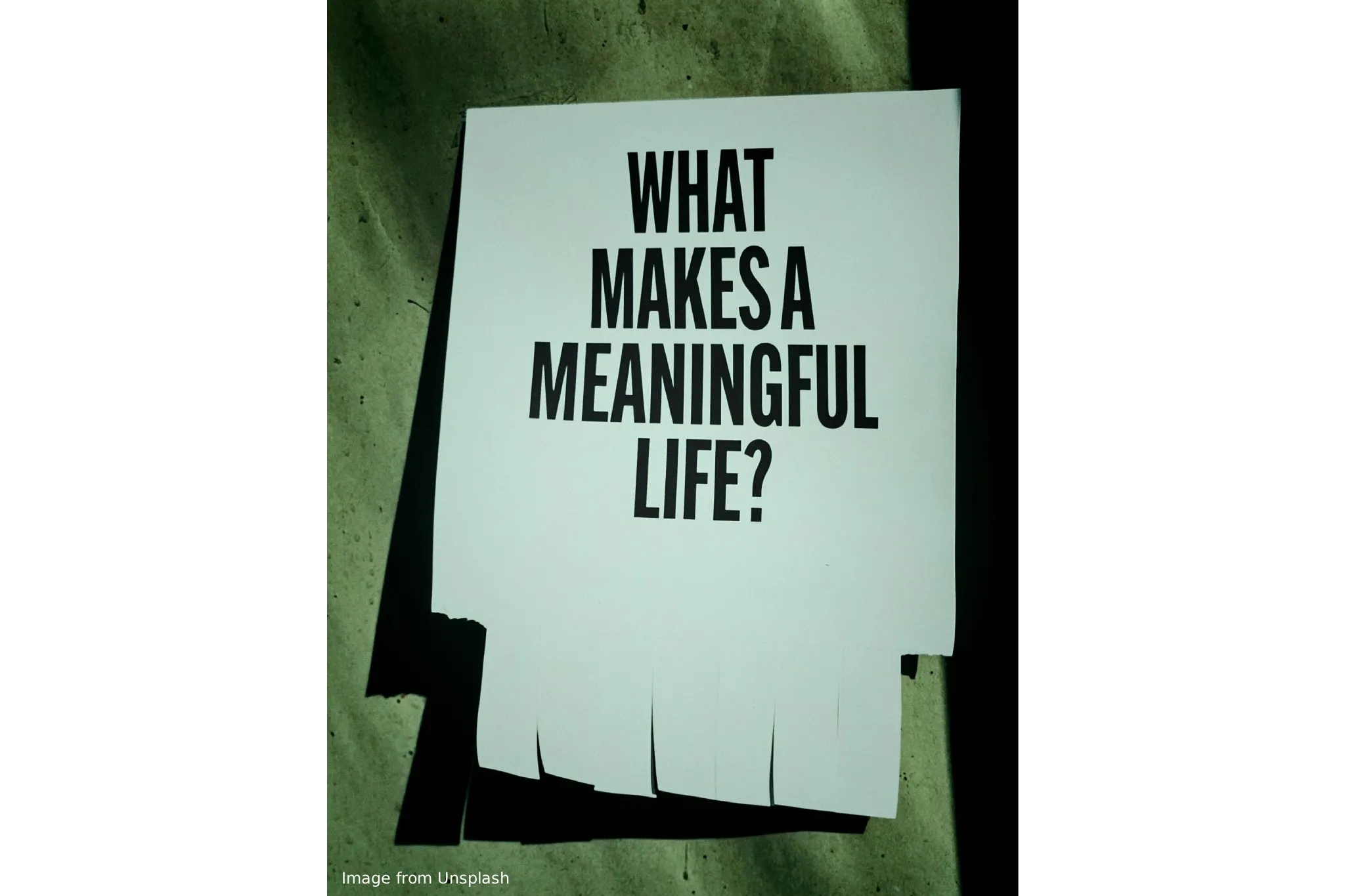 Purpose Before Profession: Building a Life That Matters